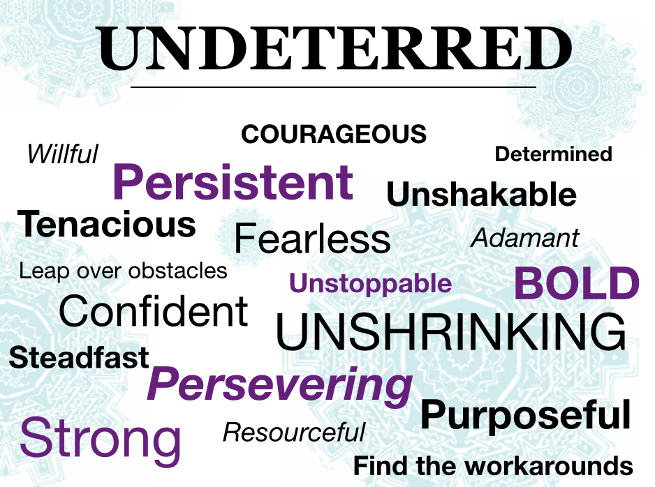 Undeterred definitions The Way Women Work Rania Anderson